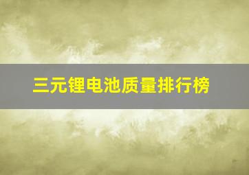 三元锂电池质量排行榜