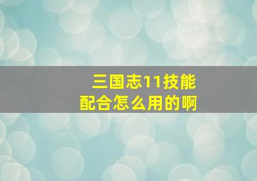 三国志11技能配合怎么用的啊