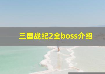 三国战纪2全boss介绍