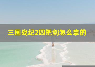 三国战纪2四把剑怎么拿的