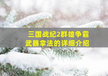 三国战纪2群雄争霸武器拿法的详细介绍