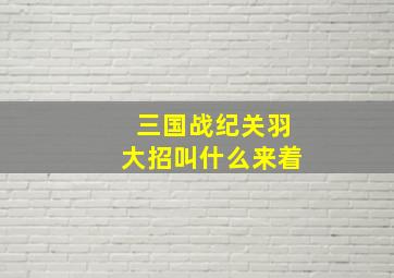 三国战纪关羽大招叫什么来着