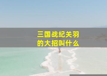 三国战纪关羽的大招叫什么