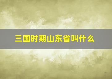 三国时期山东省叫什么