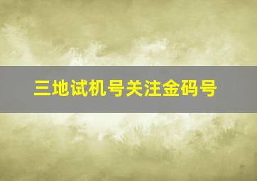 三地试机号关注金码号