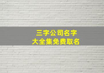 三字公司名字大全集免费取名