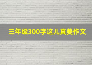 三年级300字这儿真美作文