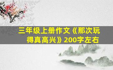 三年级上册作文《那次玩得真高兴》200字左右