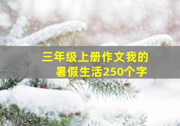 三年级上册作文我的暑假生活250个字