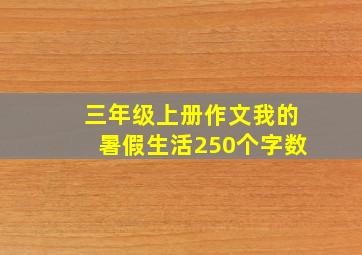 三年级上册作文我的暑假生活250个字数