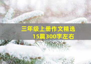 三年级上册作文精选15篇300字左右