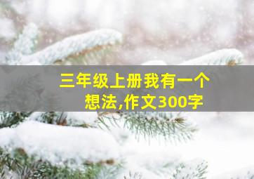 三年级上册我有一个想法,作文300字