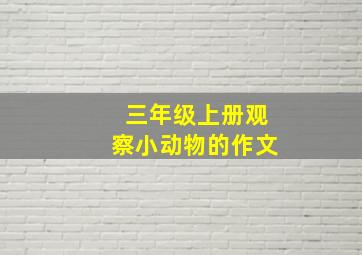 三年级上册观察小动物的作文