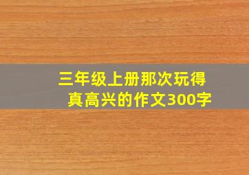 三年级上册那次玩得真高兴的作文300字