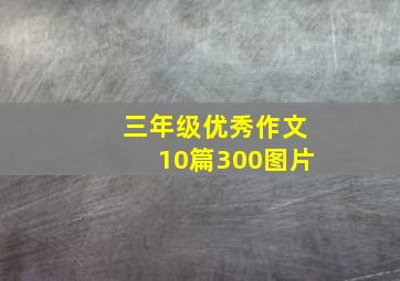 三年级优秀作文10篇300图片