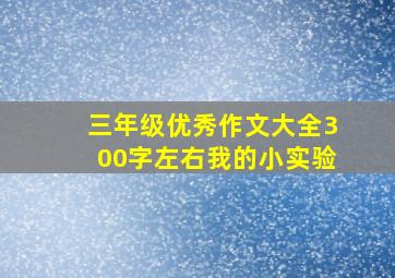 三年级优秀作文大全300字左右我的小实验