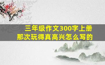 三年级作文300字上册那次玩得真高兴怎么写的