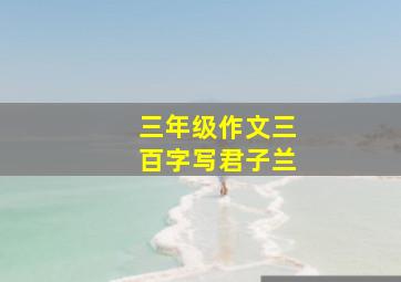 三年级作文三百字写君子兰