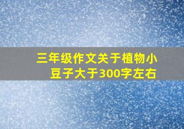 三年级作文关于植物小豆子大于300字左右