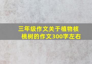 三年级作文关于植物核桃树的作文300字左右