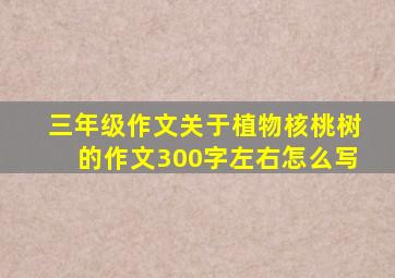 三年级作文关于植物核桃树的作文300字左右怎么写