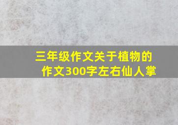 三年级作文关于植物的作文300字左右仙人掌