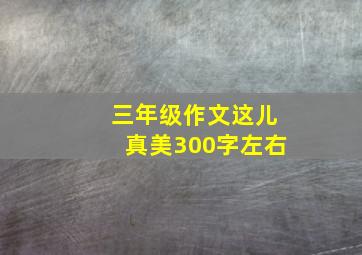 三年级作文这儿真美300字左右