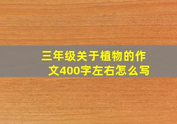 三年级关于植物的作文400字左右怎么写