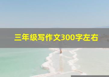 三年级写作文300字左右