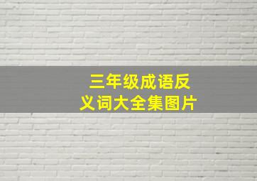 三年级成语反义词大全集图片