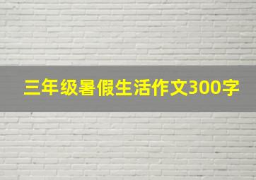 三年级暑假生活作文300字