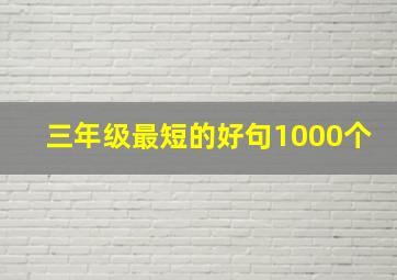 三年级最短的好句1000个