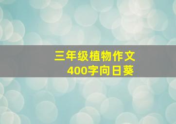 三年级植物作文400字向日葵