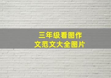 三年级看图作文范文大全图片