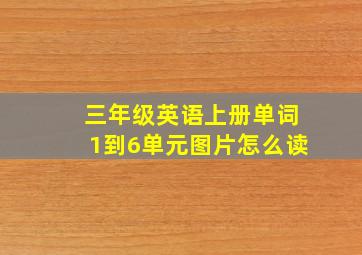 三年级英语上册单词1到6单元图片怎么读