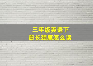 三年级英语下册长颈鹿怎么读