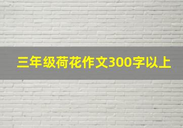 三年级荷花作文300字以上