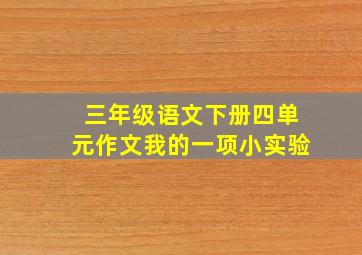 三年级语文下册四单元作文我的一项小实验