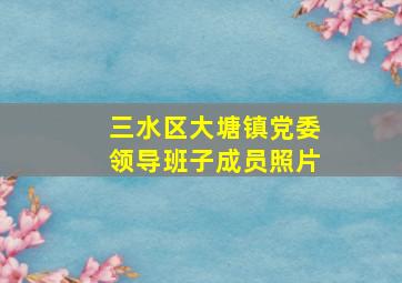 三水区大塘镇党委领导班子成员照片