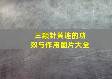 三颗针黄连的功效与作用图片大全