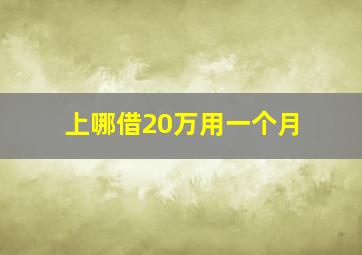 上哪借20万用一个月