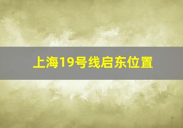 上海19号线启东位置