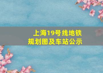 上海19号线地铁规划图及车站公示