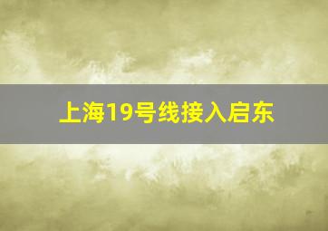 上海19号线接入启东