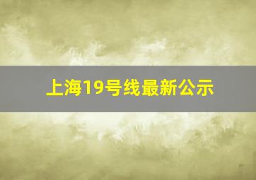 上海19号线最新公示