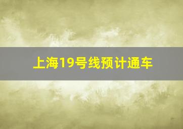 上海19号线预计通车