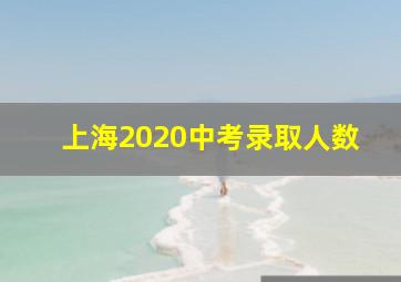 上海2020中考录取人数