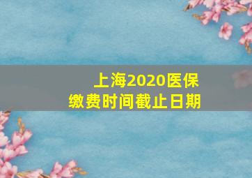 上海2020医保缴费时间截止日期