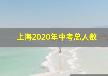 上海2020年中考总人数