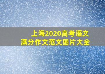 上海2020高考语文满分作文范文图片大全